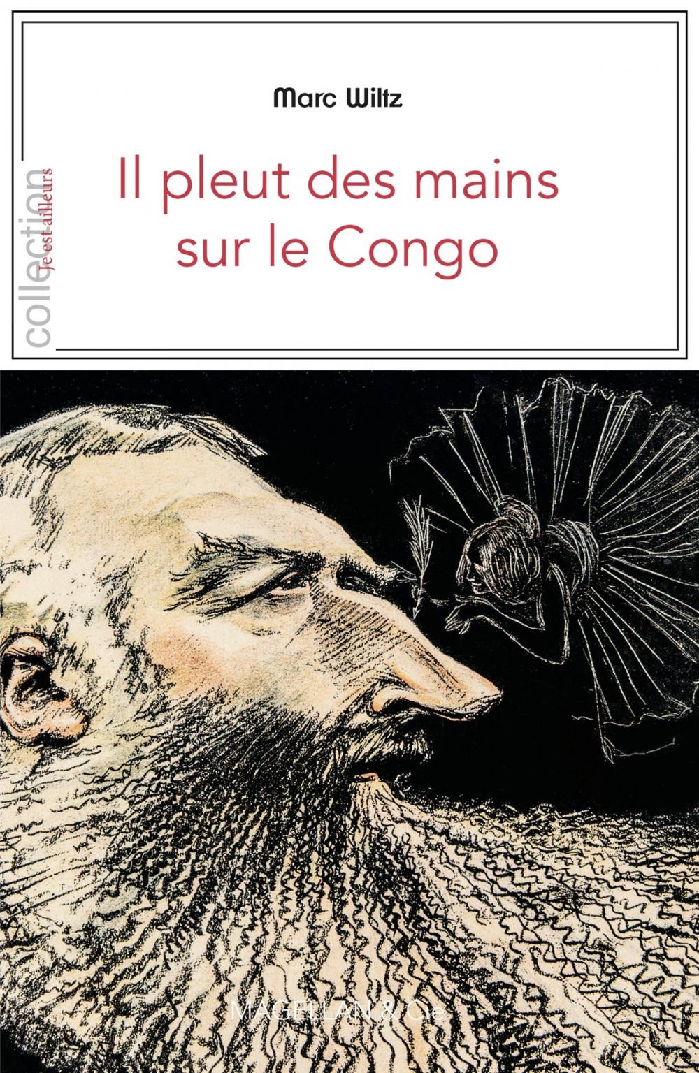 Big bigCover of Il pleut des mains sur le Congo