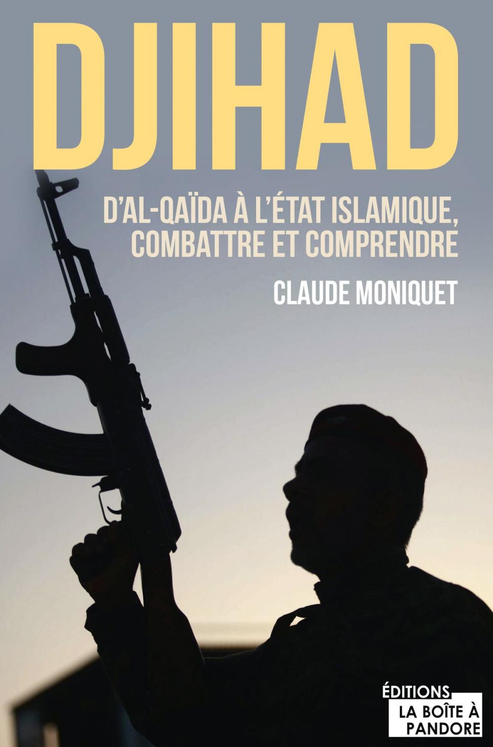 Big bigCover of Djihad : D'Al-Qaida à l'État Islamique, combattre et comprendre