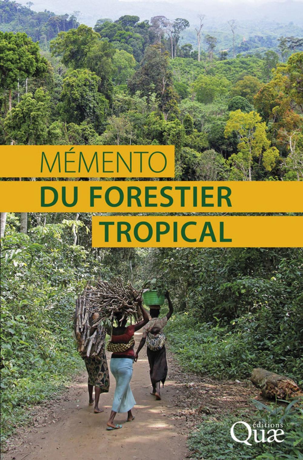 Big bigCover of Mémento du forestier tropical