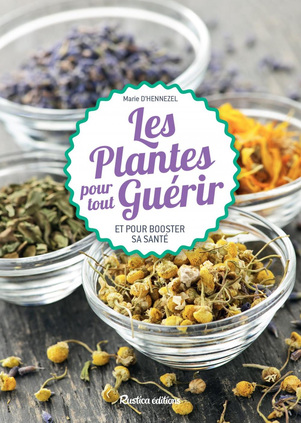 Big bigCover of Les plantes pour tout guérir