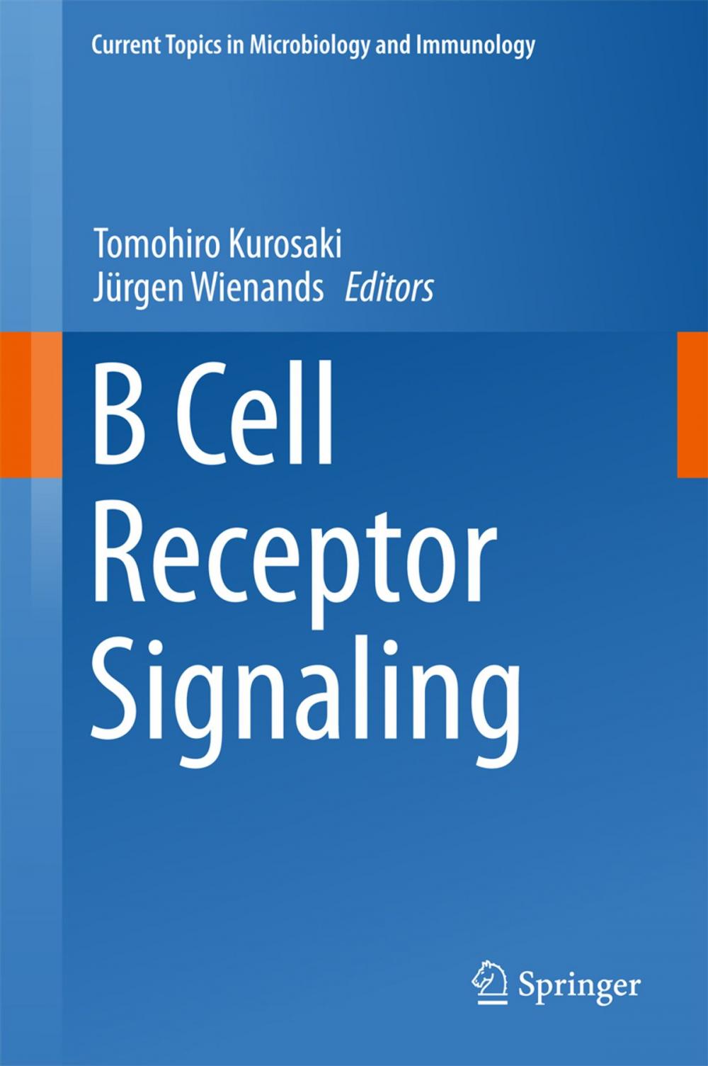 Big bigCover of B Cell Receptor Signaling