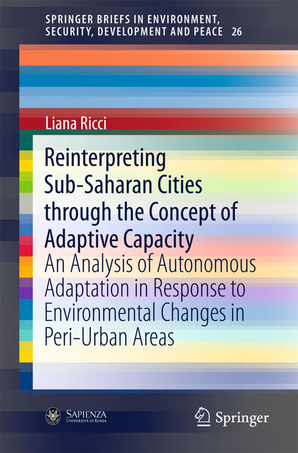 Big bigCover of Reinterpreting Sub-Saharan Cities through the Concept of Adaptive Capacity