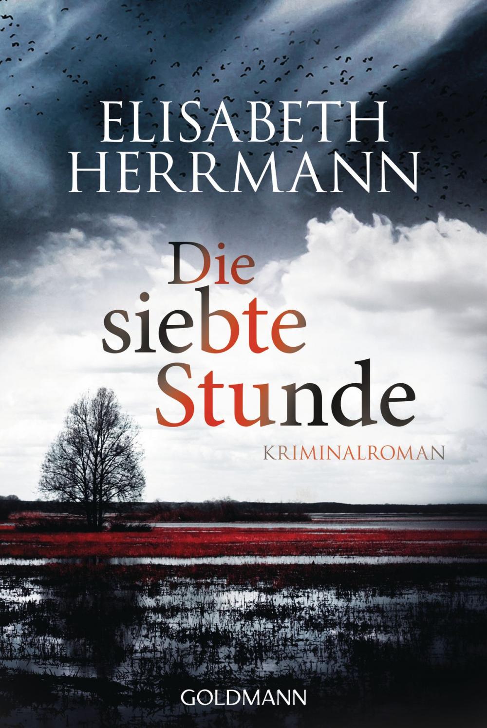 Big bigCover of Die siebte Stunde