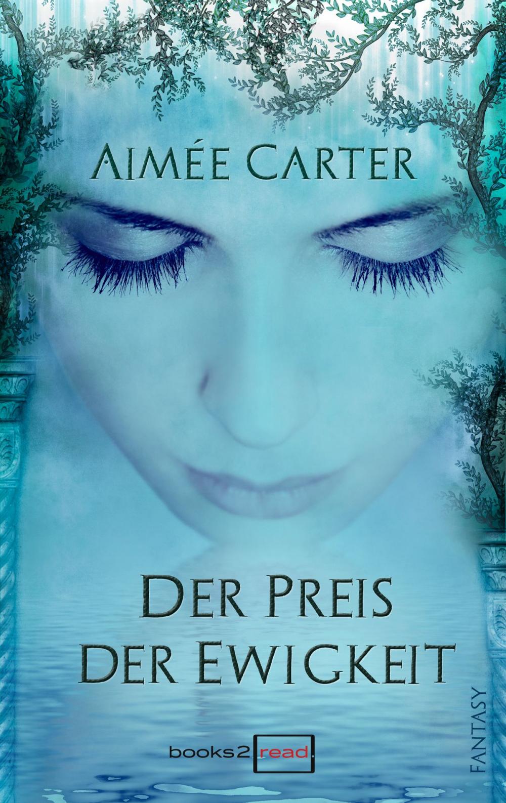 Big bigCover of Der Preis der Ewigkeit