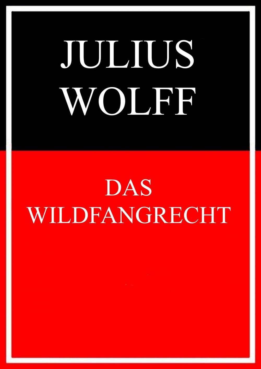 Big bigCover of Das Wildfangrecht