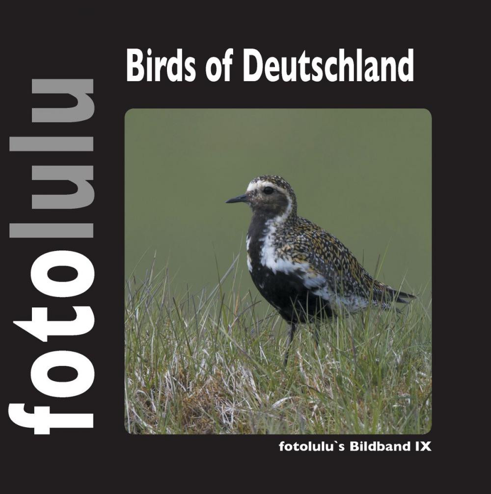 Big bigCover of Birds of Deutschland