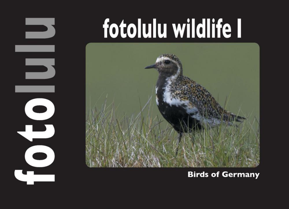 Big bigCover of fotolulu wildlife I