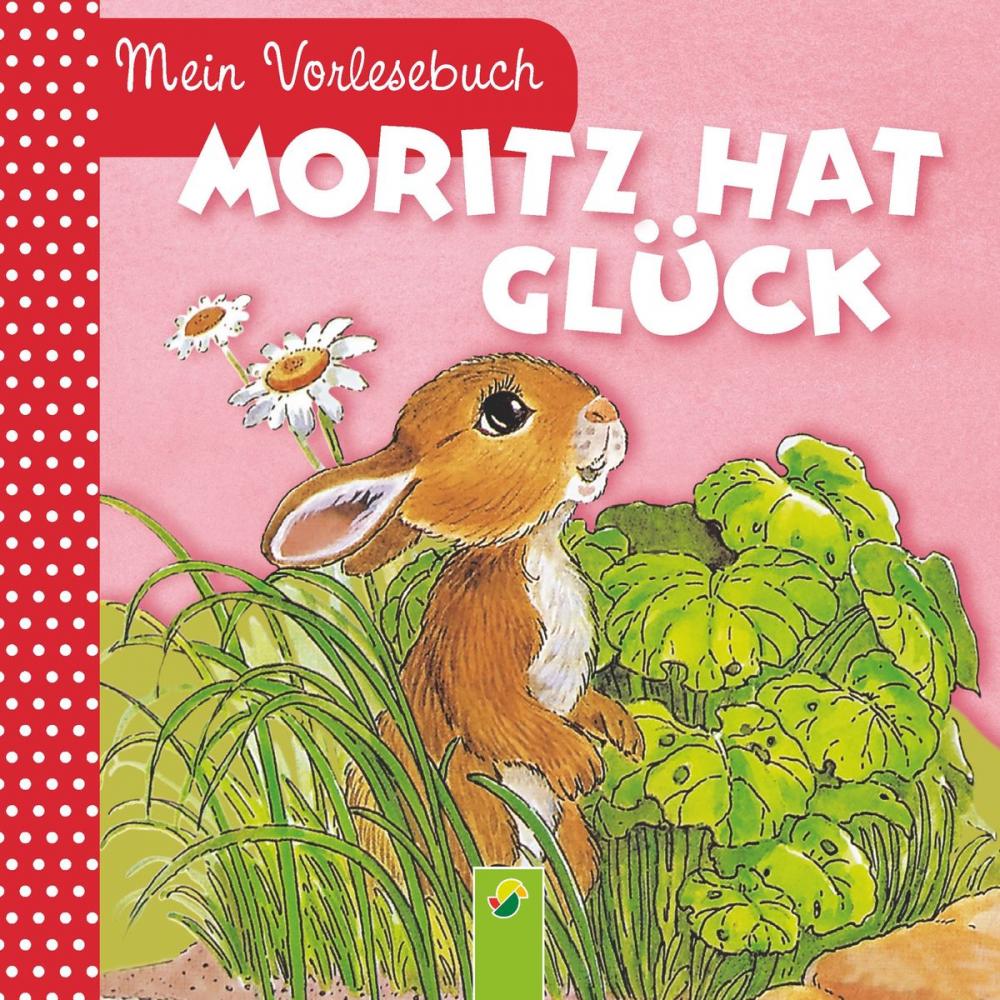 Big bigCover of Moritz hat Glück