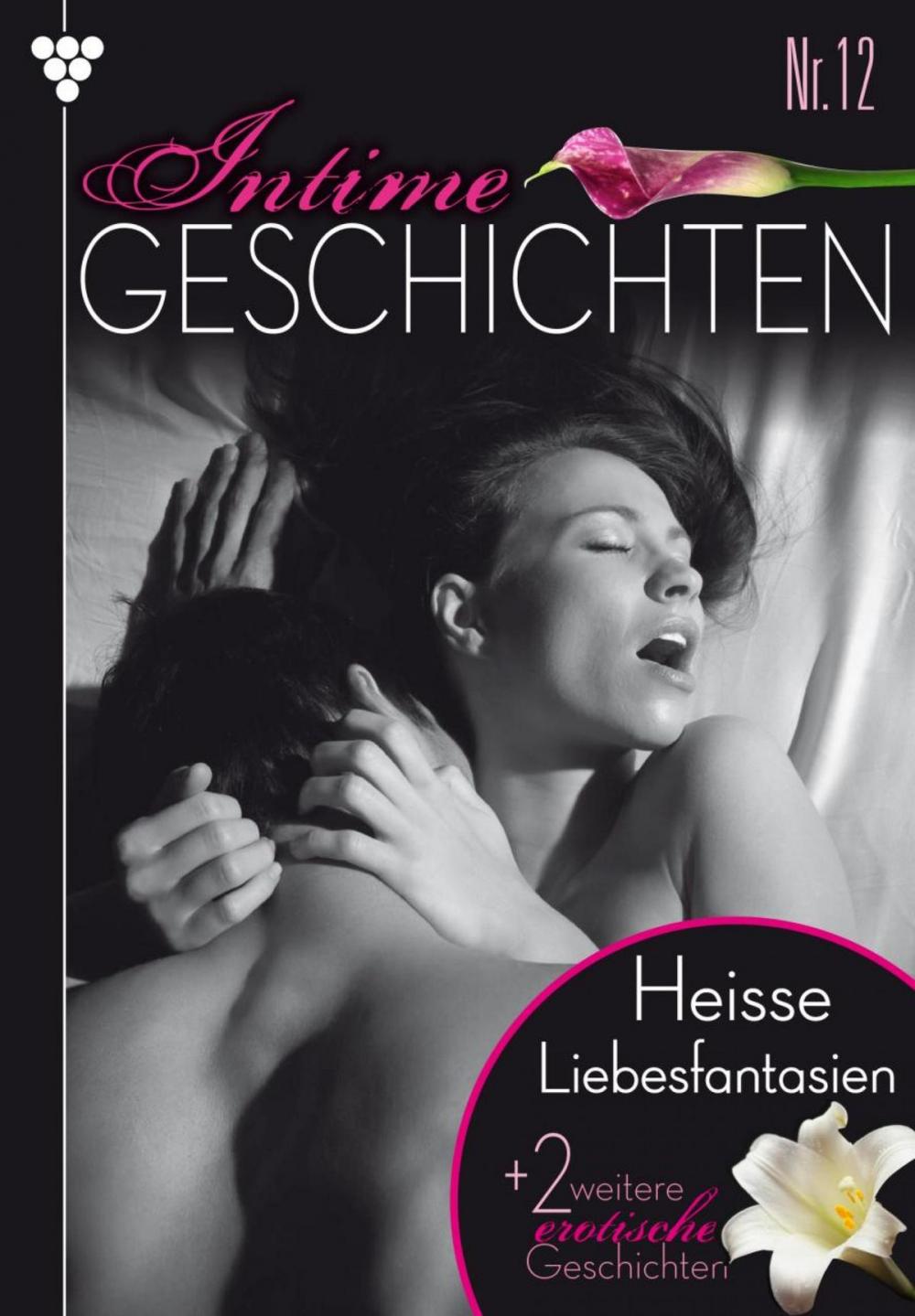 Big bigCover of Intime Geschichten 12 – Erotikroman