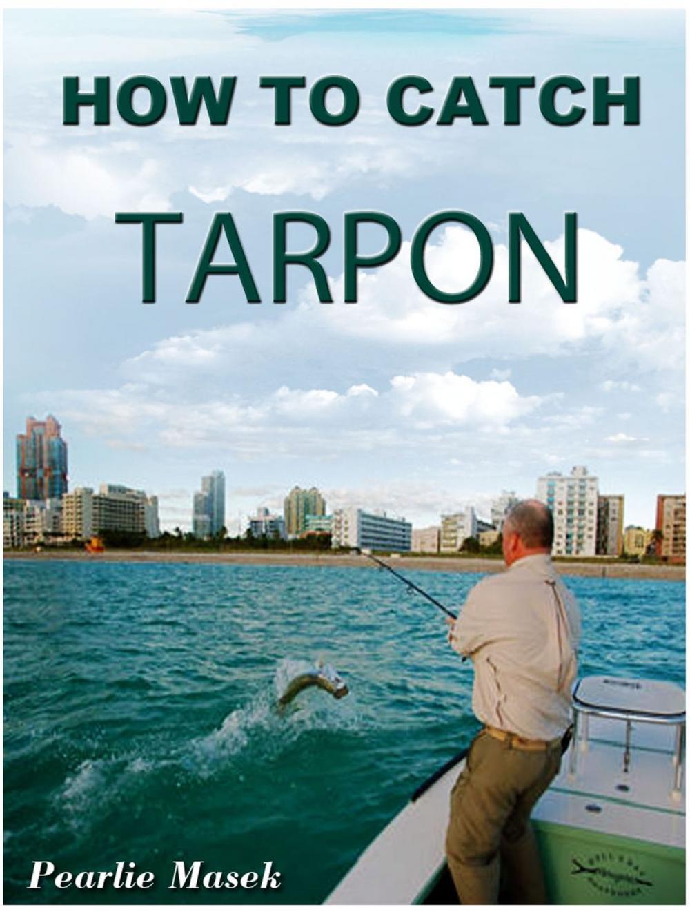 Big bigCover of How To Catch Tarpon