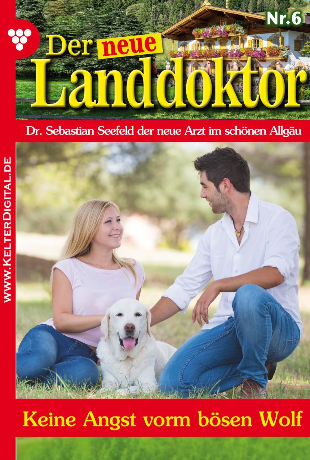 Big bigCover of Der neue Landdoktor 6 – Arztroman