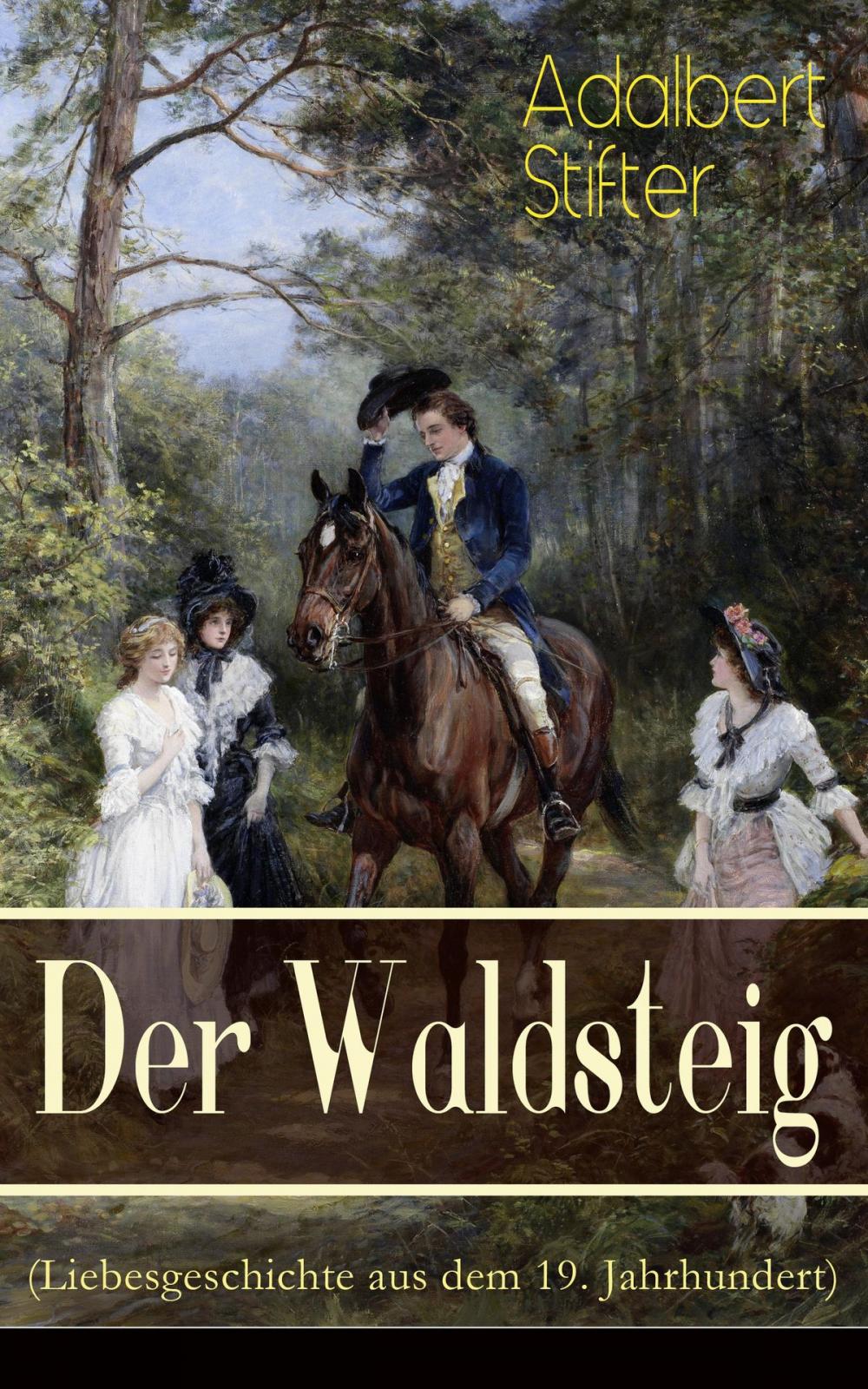 Big bigCover of Der Waldsteig (Liebesgeschichte aus dem 19. Jahrhundert)