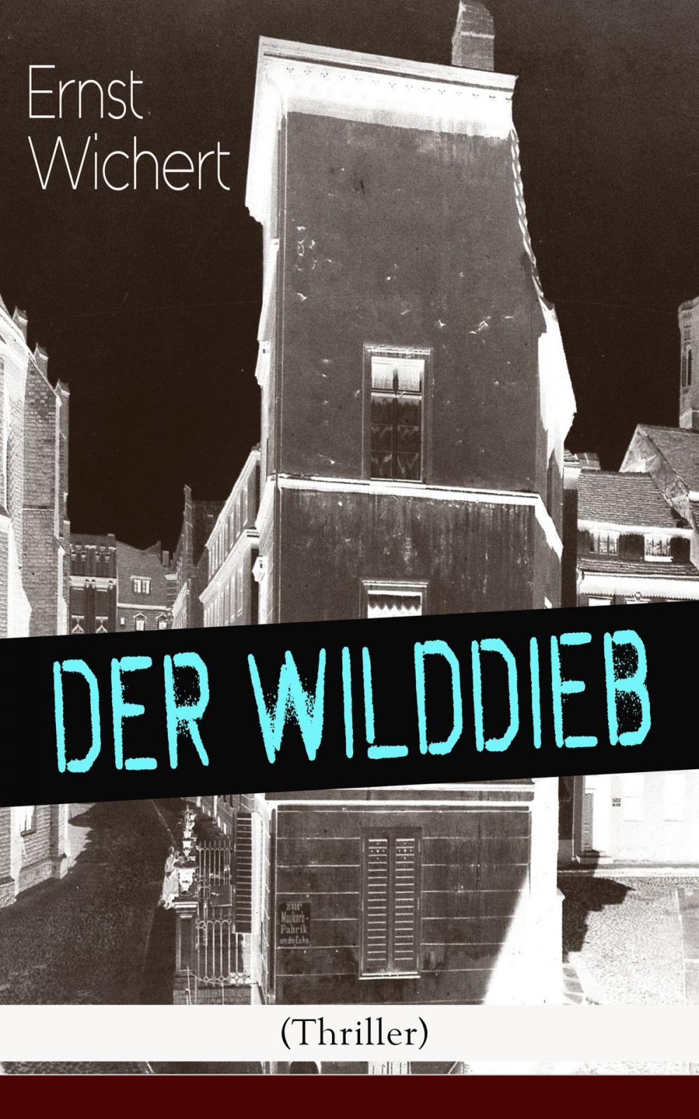 Big bigCover of Der Wilddieb (Thriller)