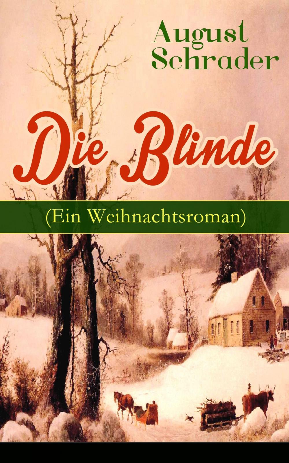 Big bigCover of Die Blinde (Ein Weihnachtsroman)