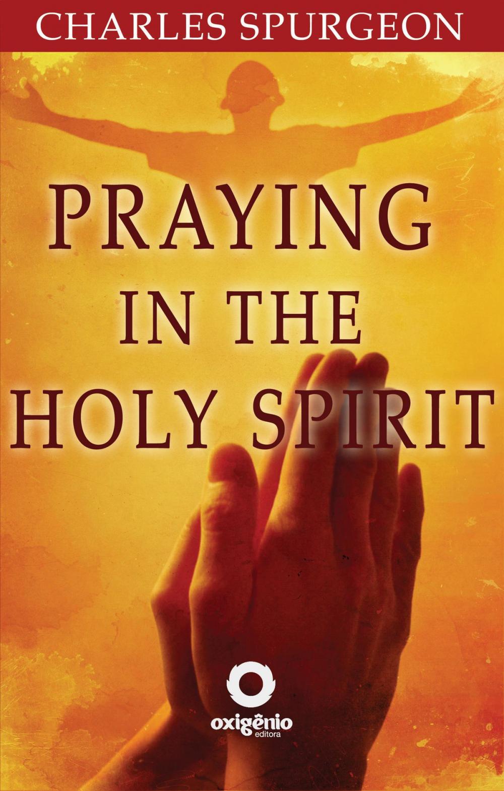 Big bigCover of Praying in the Holy Spirit