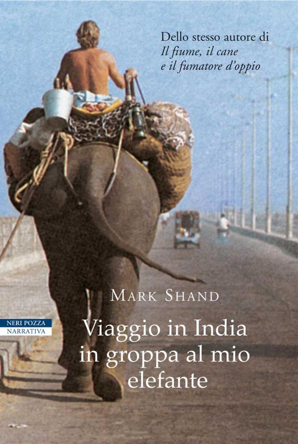 Big bigCover of Viaggio in India in groppa al mio elefante