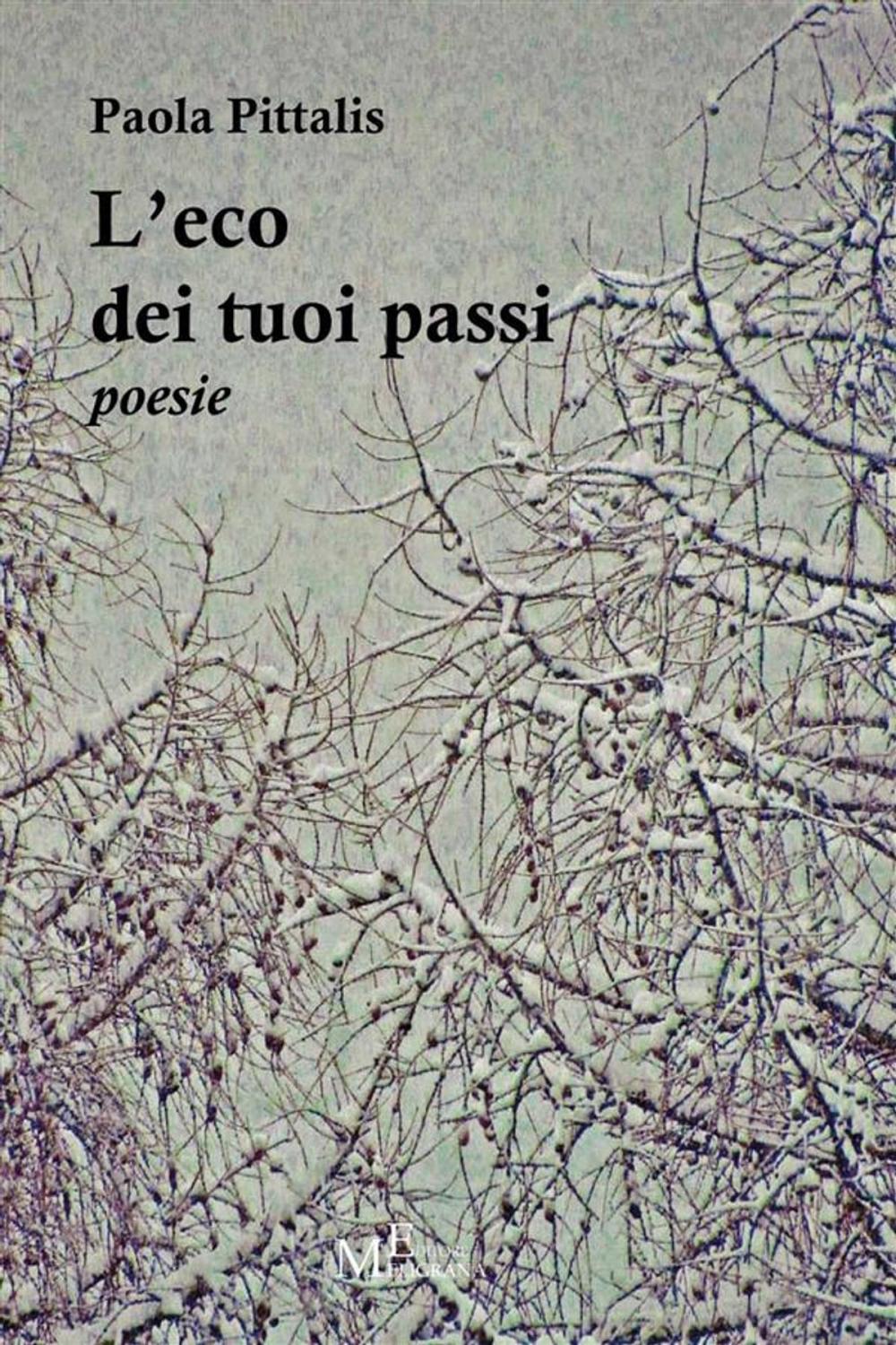 Big bigCover of L’eco dei tuoi passi