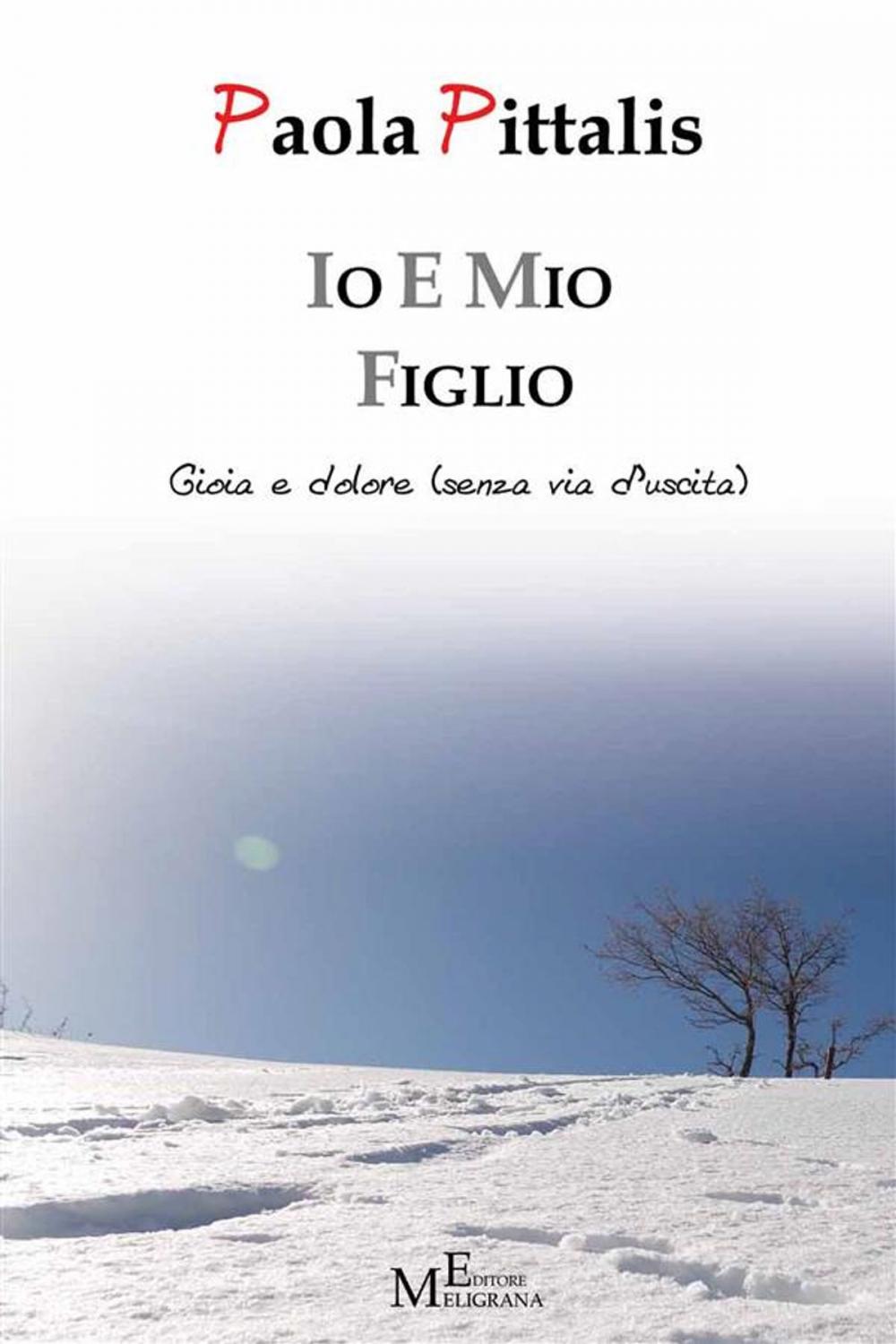 Big bigCover of Io e mio figlio