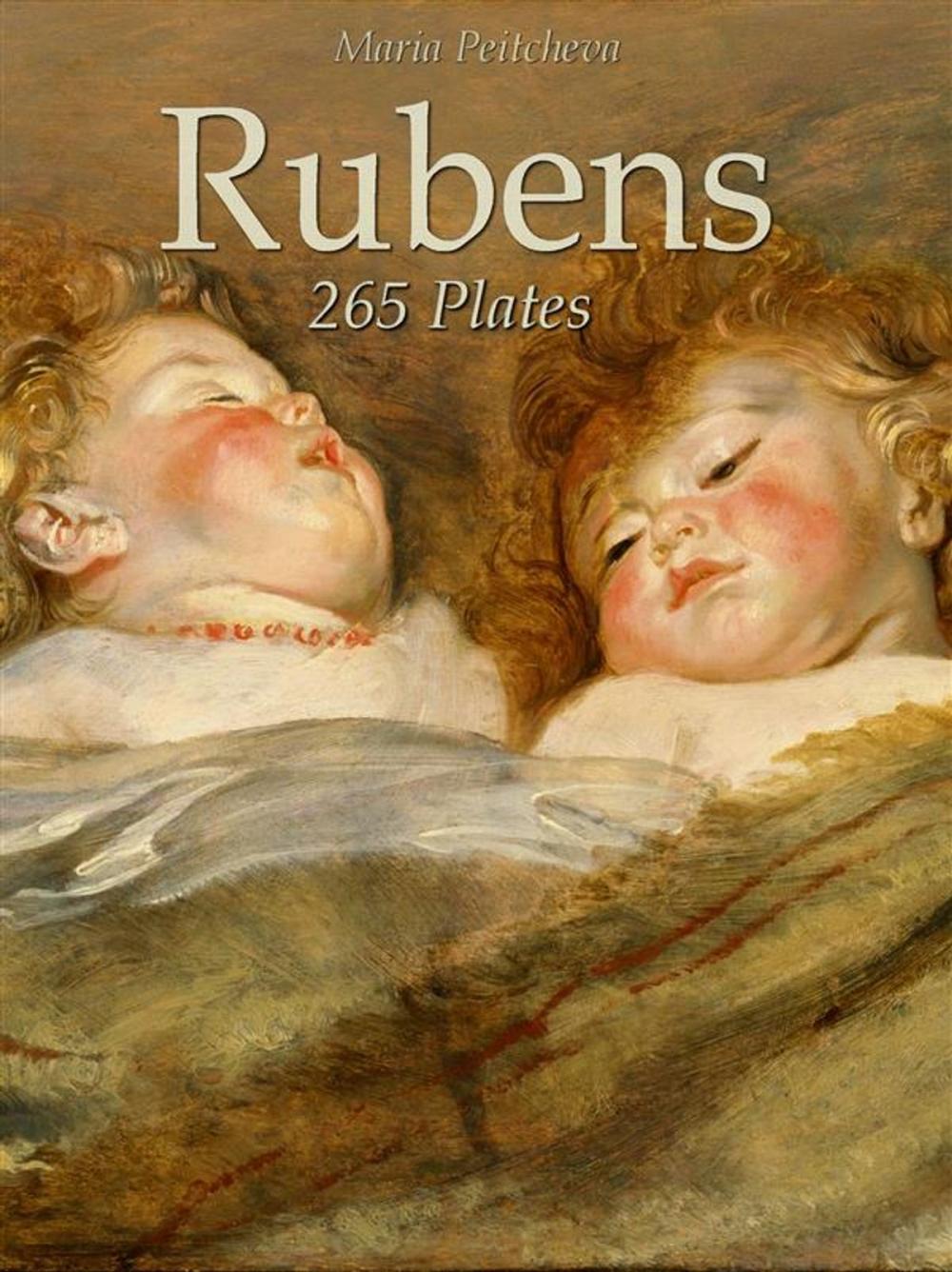 Big bigCover of Rubens: 265 Plates