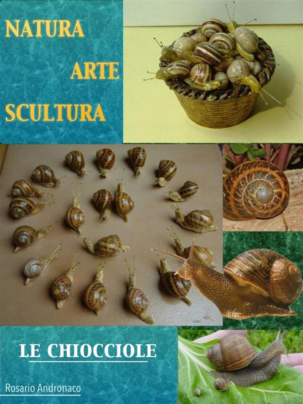 Big bigCover of Natura Arte Scultura - Le Chiocciole