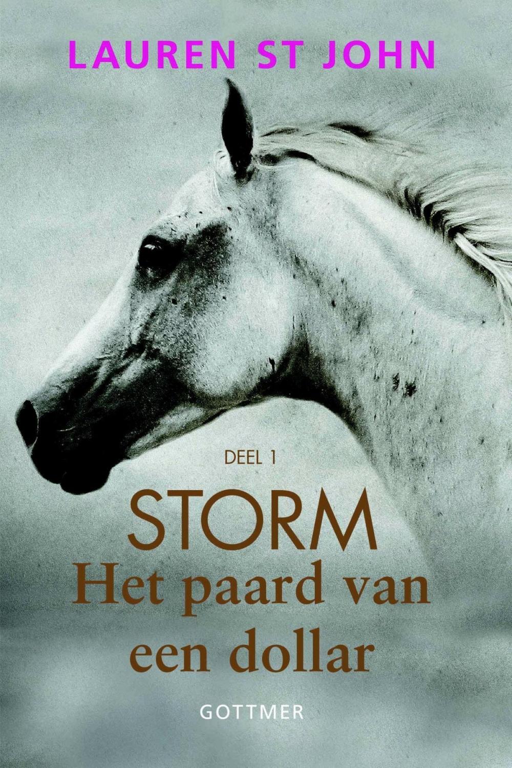 Big bigCover of Het paard van een dollar