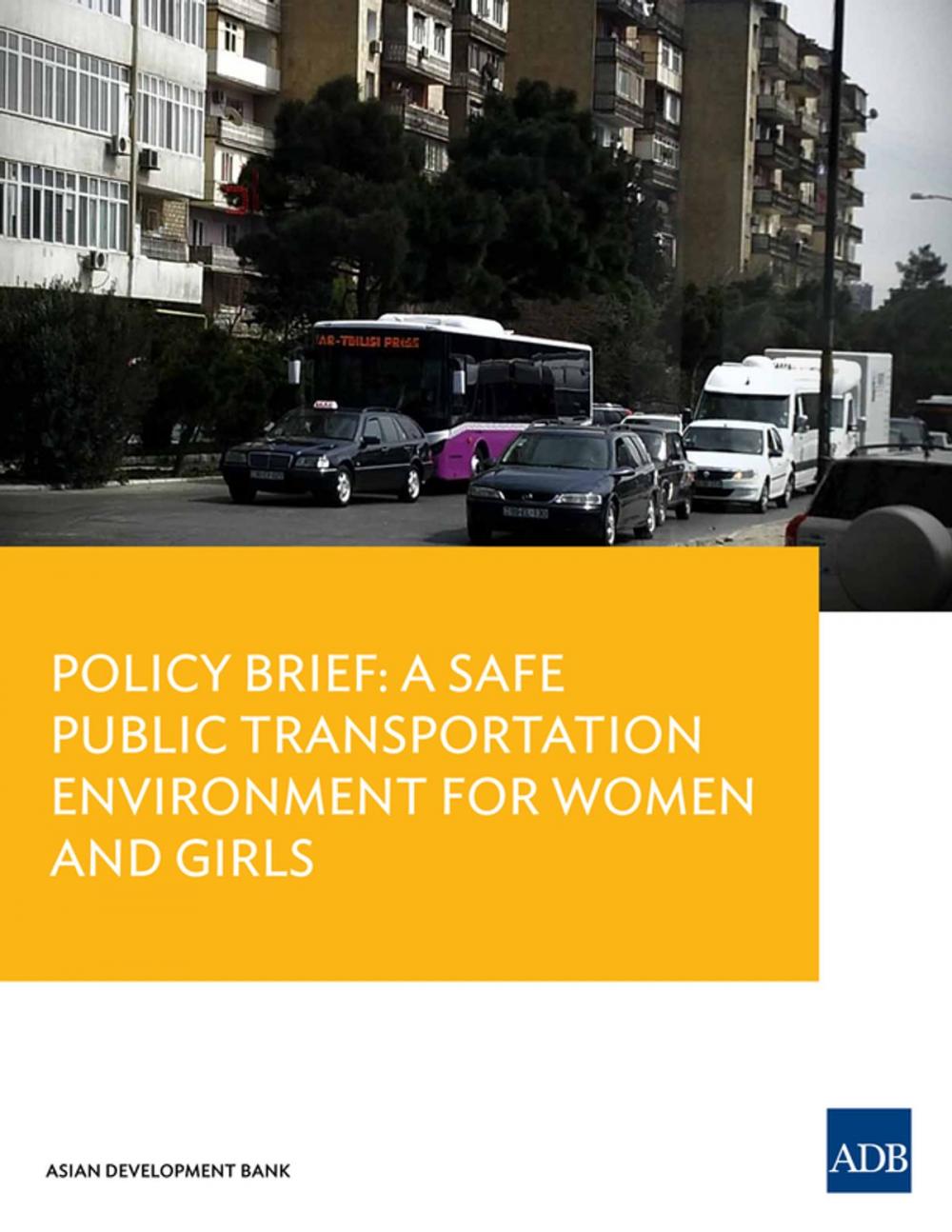 Big bigCover of Policy Brief: A Safe Public Transportation Environment For Women and Girls