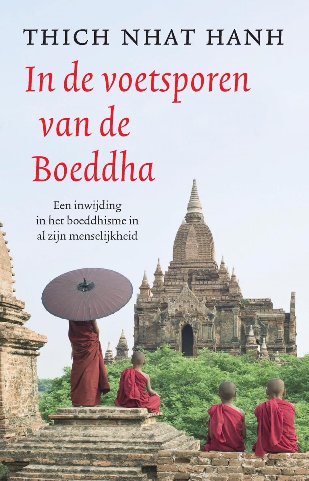 Big bigCover of In de voetsporen van de Boeddha