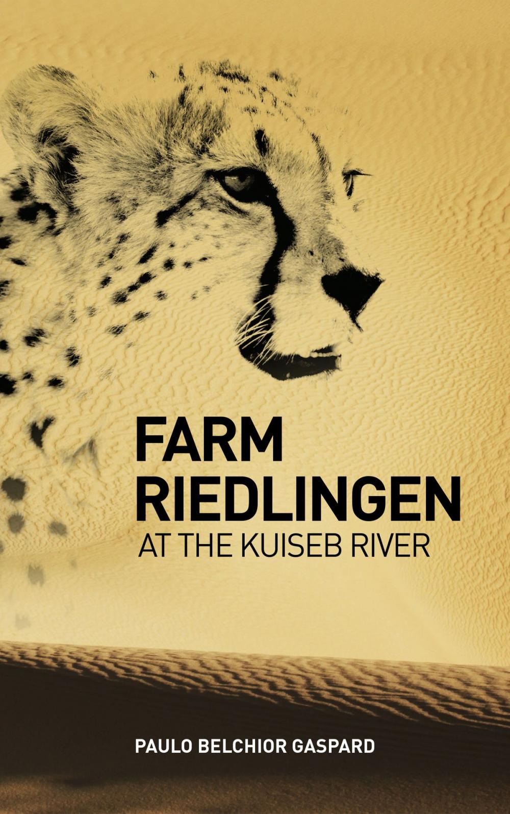 Big bigCover of Farm Riedlingen at the Kuiseb River