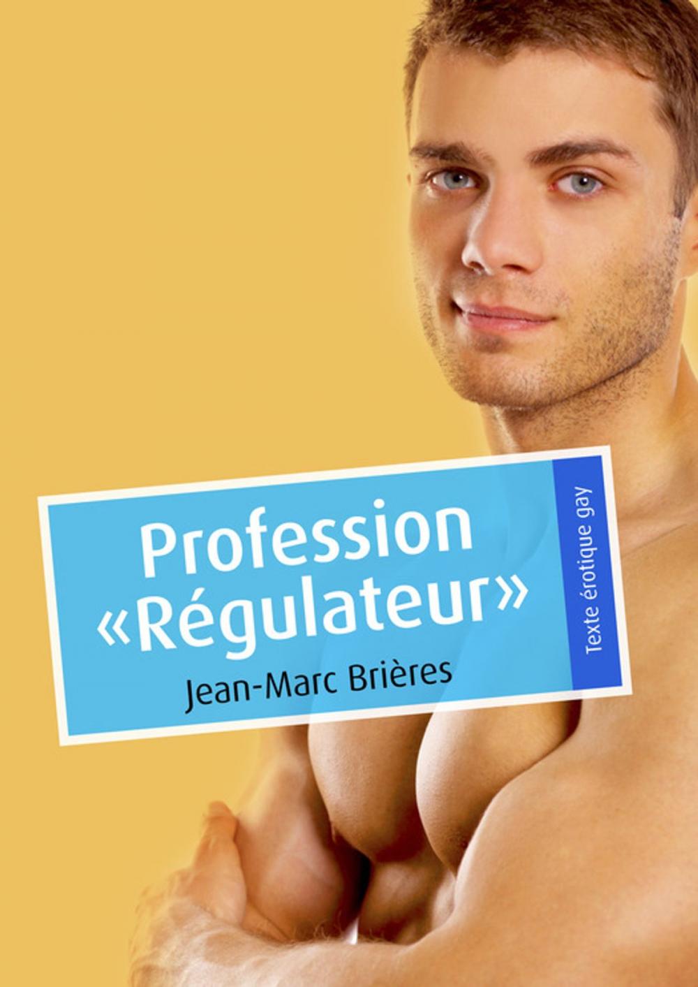 Big bigCover of Profession "Régulateur"