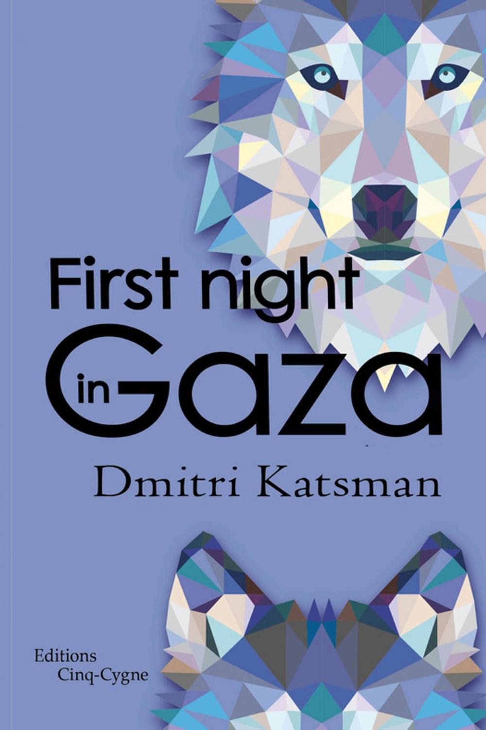 Big bigCover of First night in Gaza