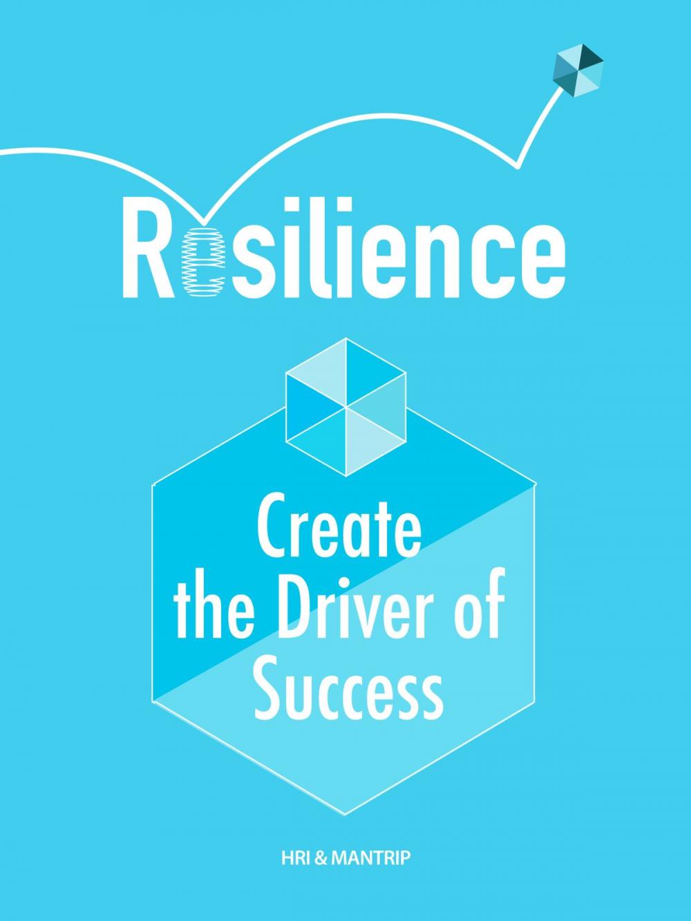 Big bigCover of The Success Energy, Resilience