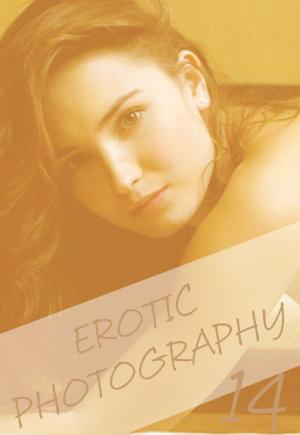 Book cover of Erotic Photography Volume 14 - A sexy photo book
