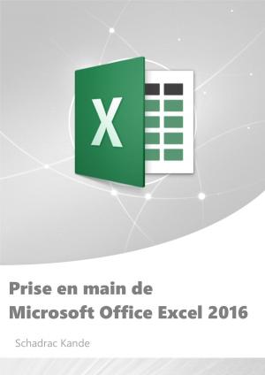 Cover of Prise en main de Microsoft Office Excel 2016