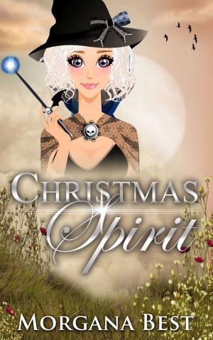 Book cover of Christmas Spirit
