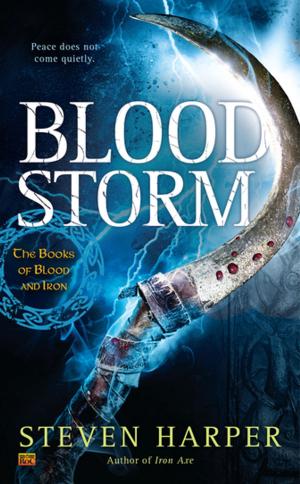 Cover of the book Blood Storm by Emily Brightwell