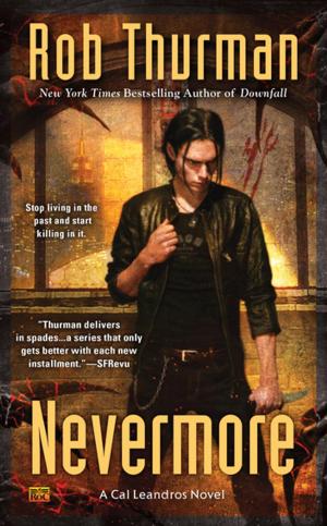 Cover of the book Nevermore by Casey Mayes