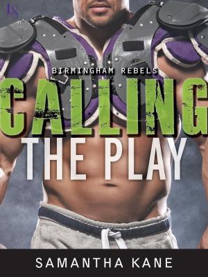 Cover of the book Calling the Play by Jim Lehrer