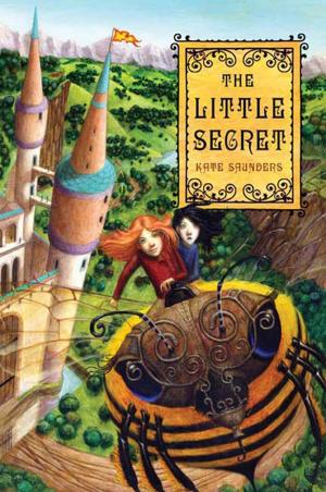 Book cover of The Little Secret