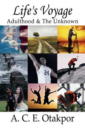 Book cover of Life's Voyage: Adulthood & The Unknown