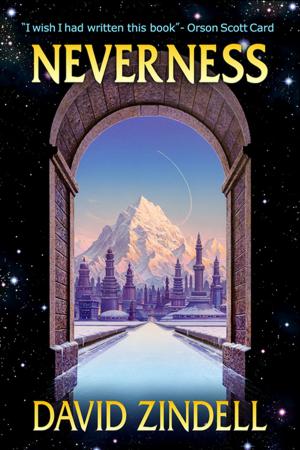 Cover of the book Neverness by Huckleberry Hax