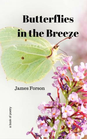 Cover of the book Butterflies in the Breeze by Jeco
