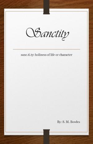 Book cover of Sanctity