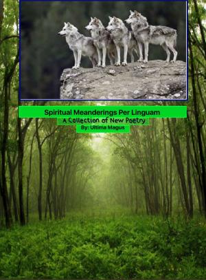 Book cover of Spiritual Meanderings per Linguam: A New Collection of Poetry