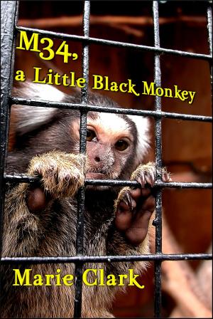 Cover of the book M34, a Little Black Monkey by Wanda Withers