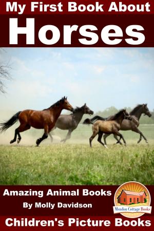 Cover of the book My First Book about Horses: Amazing Animal Books - Children's Picture Books by ValeriaArcas1