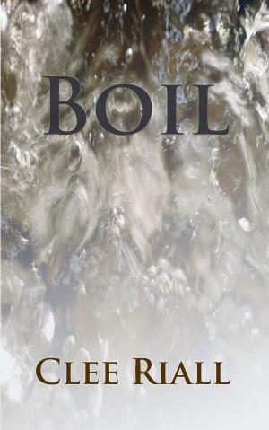 bigCover of the book Boil (A Tori Nichols Escapade, Book 2) by 