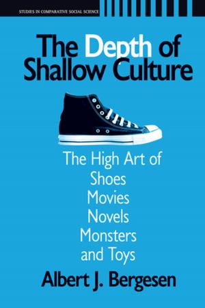 Cover of the book Depth of Shallow Culture by Brian Kenny, Karen Dyson
