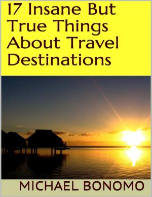 Cover of the book 17 Insane But True Things About Travel Destinations by Anco S. Blazev