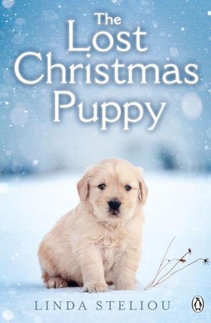 Cover of the book The Lost Christmas Puppy by Andre Hue, Ewen Southby-Tailyour