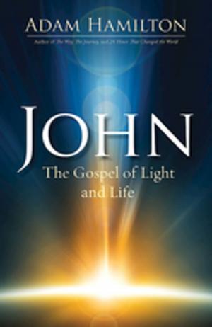 Cover of the book John by James D. Tabor, Celia Brewer Marshall